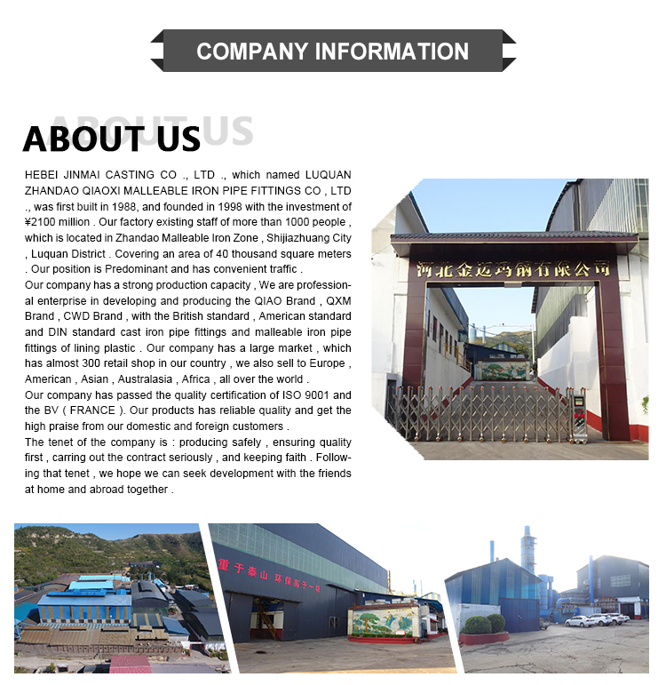 Company Showcase 1